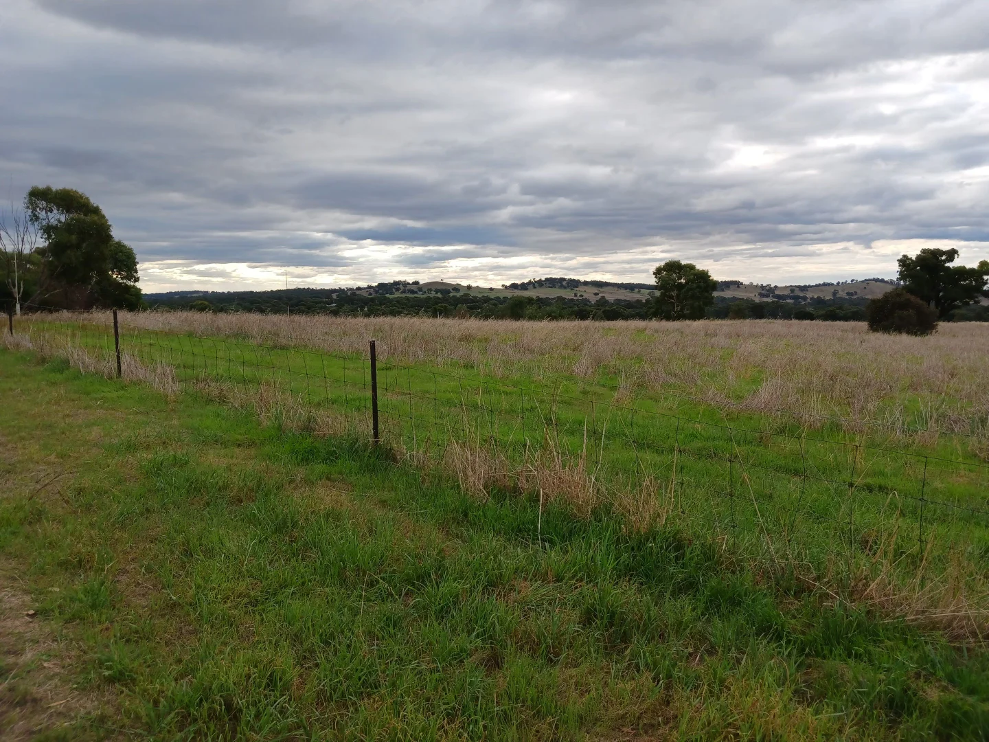 Additional image 7 of 2 Springvale Road, Lockwood South VIC 3551