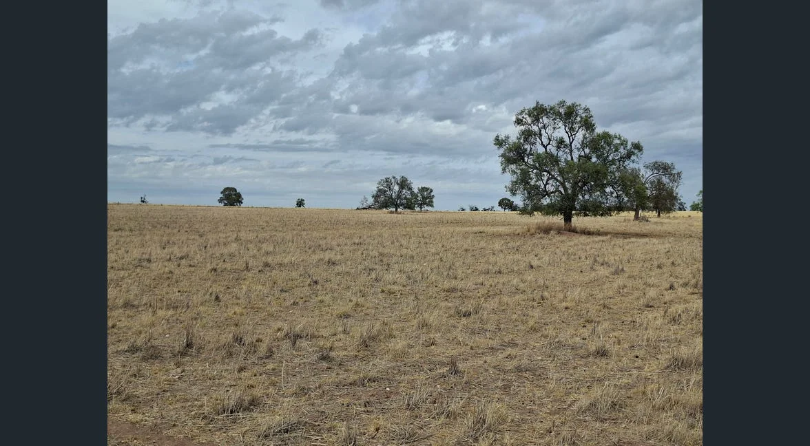 Additional image 33 of Alloway, Gilgandra NSW 2827