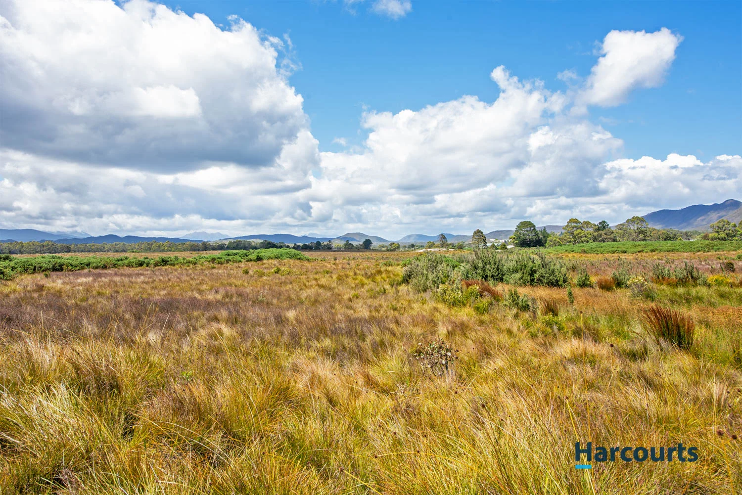 Additional image 3 of 7136621 Robinson Street, Zeehan TAS 7469