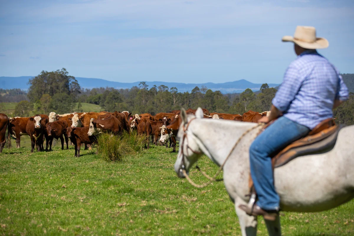 Additional image 26 of Bingeebeebra Creek, Mummulgum NSW 2469