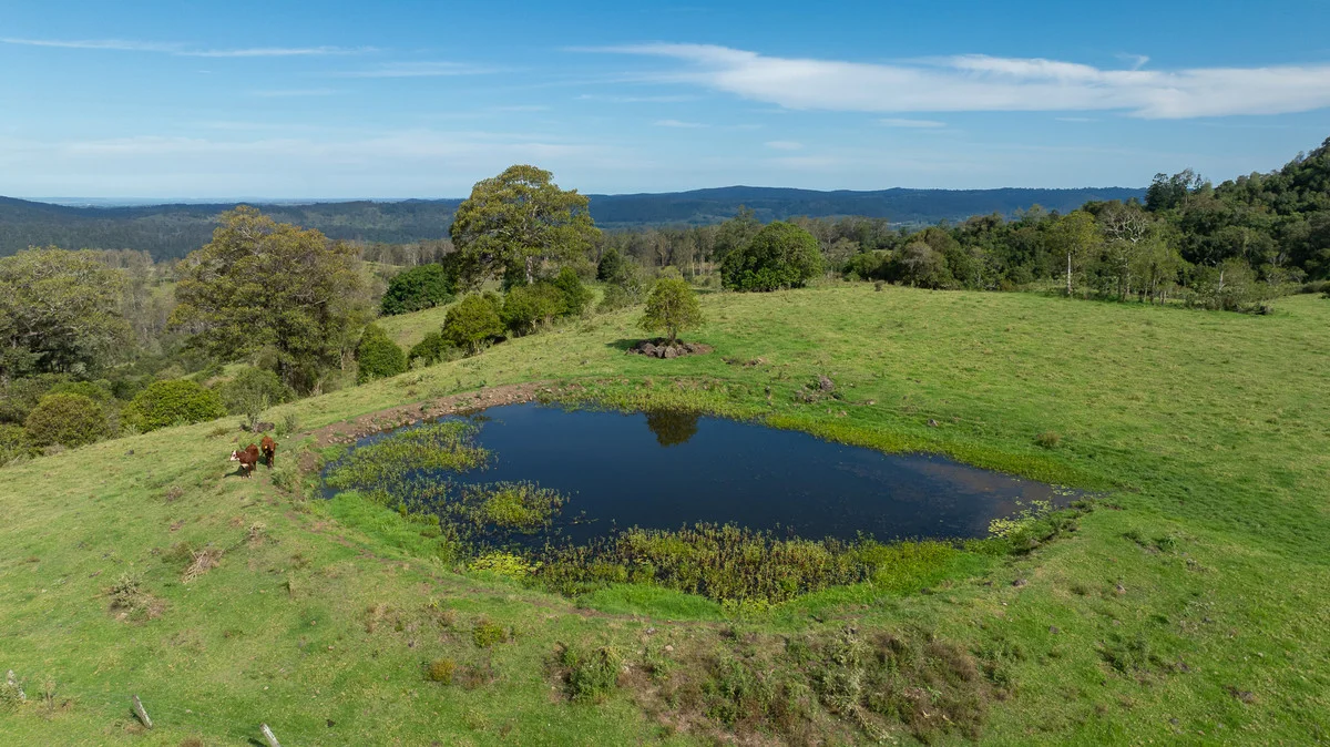 Additional image 13 of Bingeebeebra Creek, Mummulgum NSW 2469