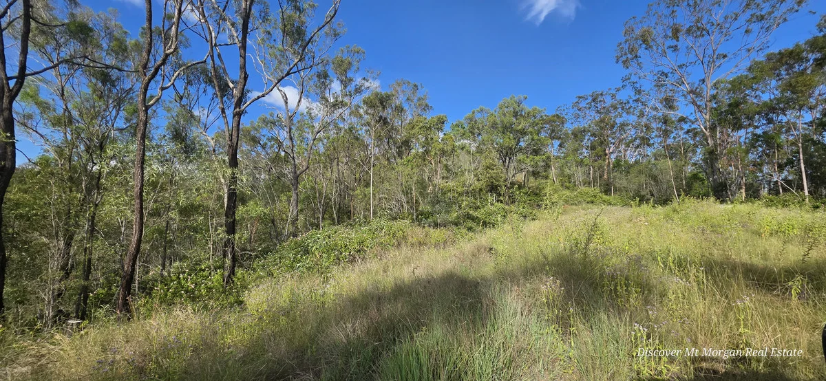 Additional image 17 of Lot 9 Struck oil Road, Struck Oil QLD 4714