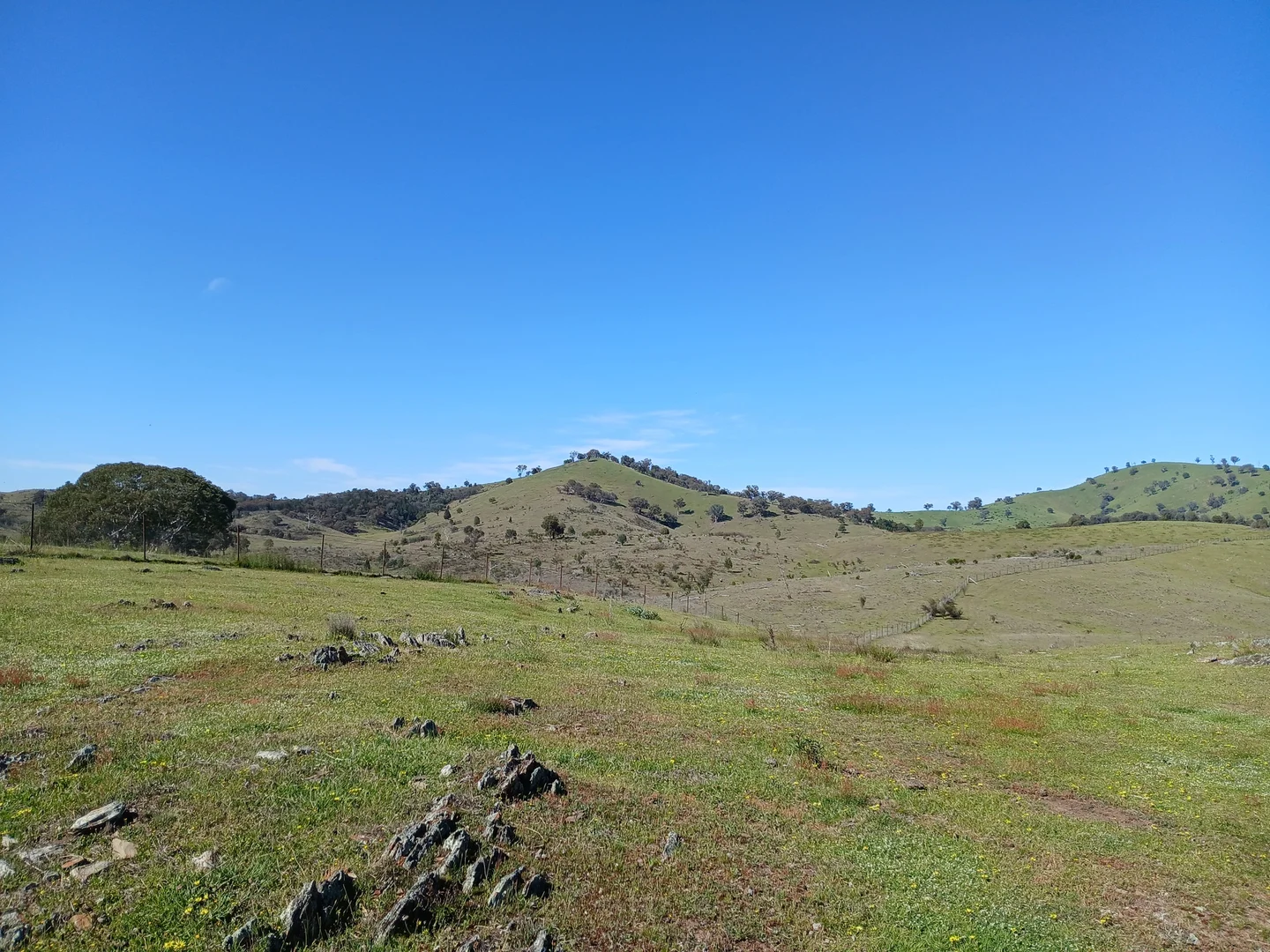 Additional image 7 of Lot 161 Eldridges Lane, Taylors Flat NSW 2586