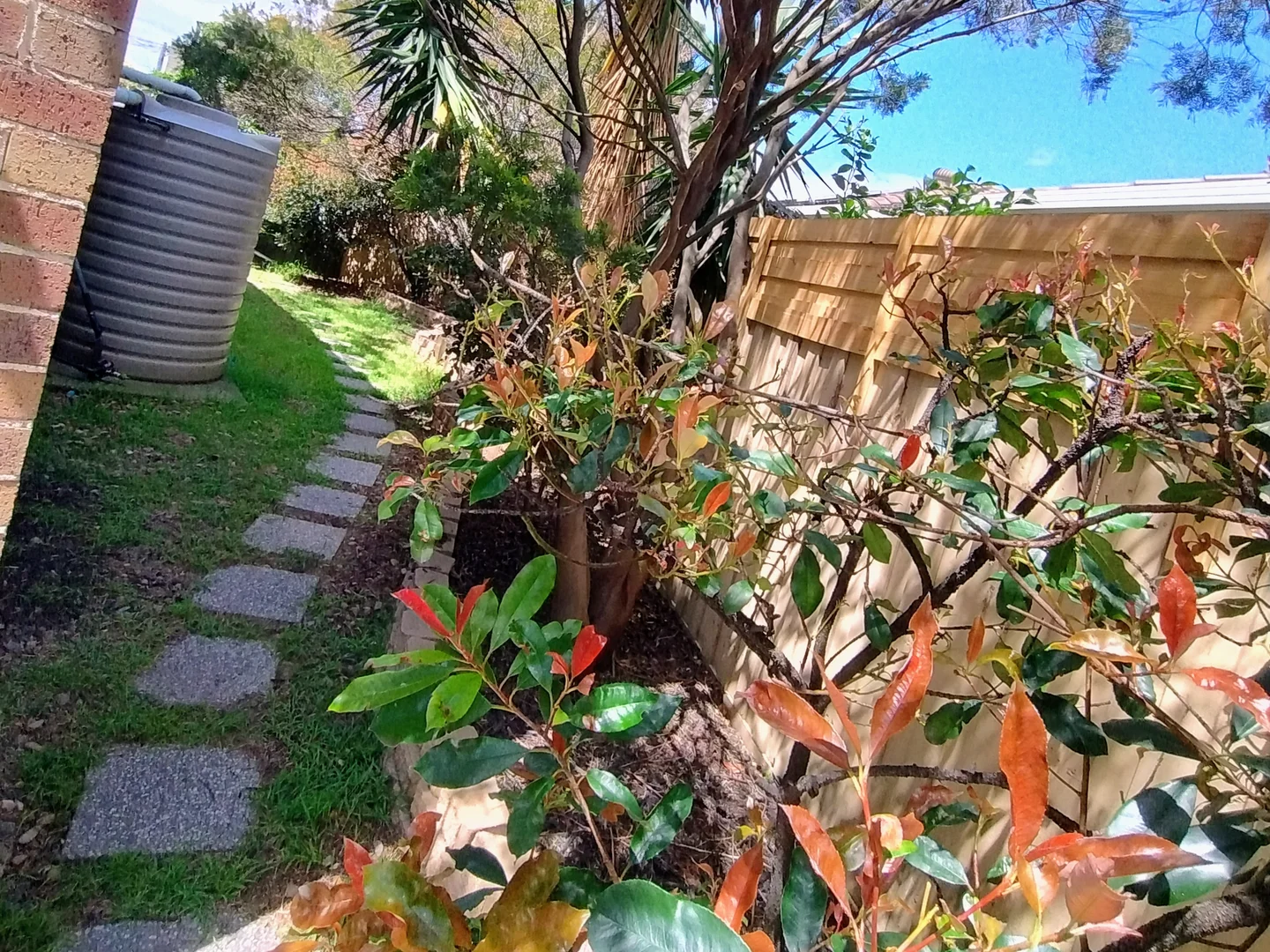 Additional image 18 of 33 Victory Street, Murrumbeena VIC 3163