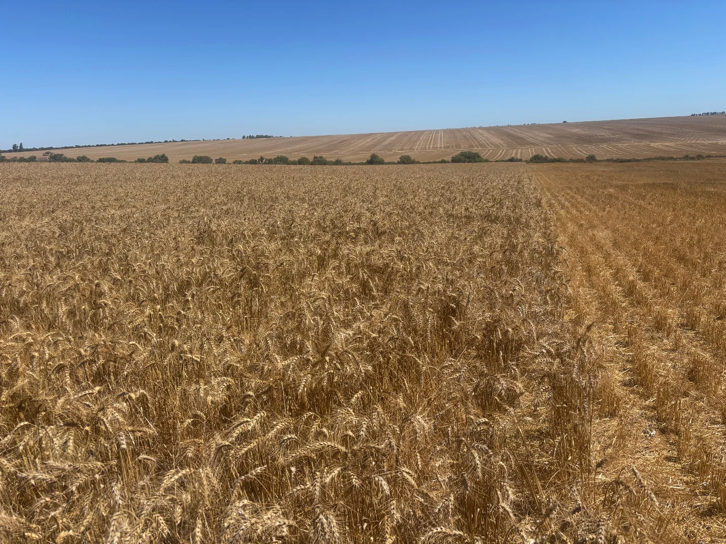 Additional image 18 of 6062 Coorow-Greenhead Road, Warradarge WA 6518