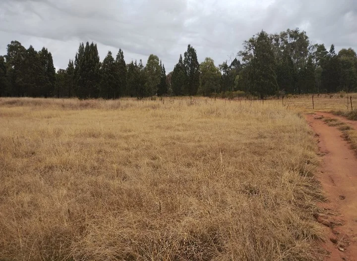 Additional image 9 of 11 Nandi Hills Place, Coonabarabran NSW 2357