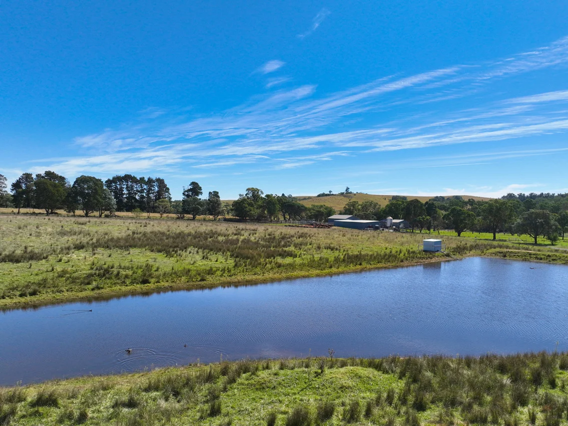 Additional image 15 of 710 Inverary Road, Paddys River NSW 2577