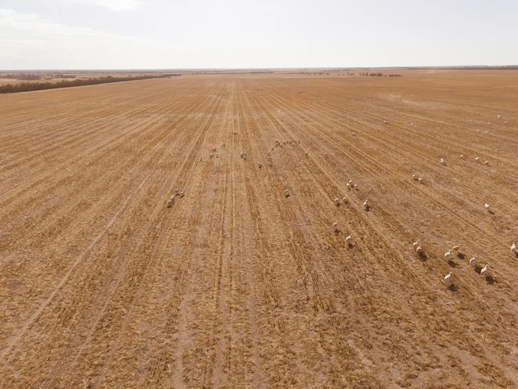 Additional image 9 of 5774 Gnowangerup-Jerramungup Rd, Ongerup WA 6336