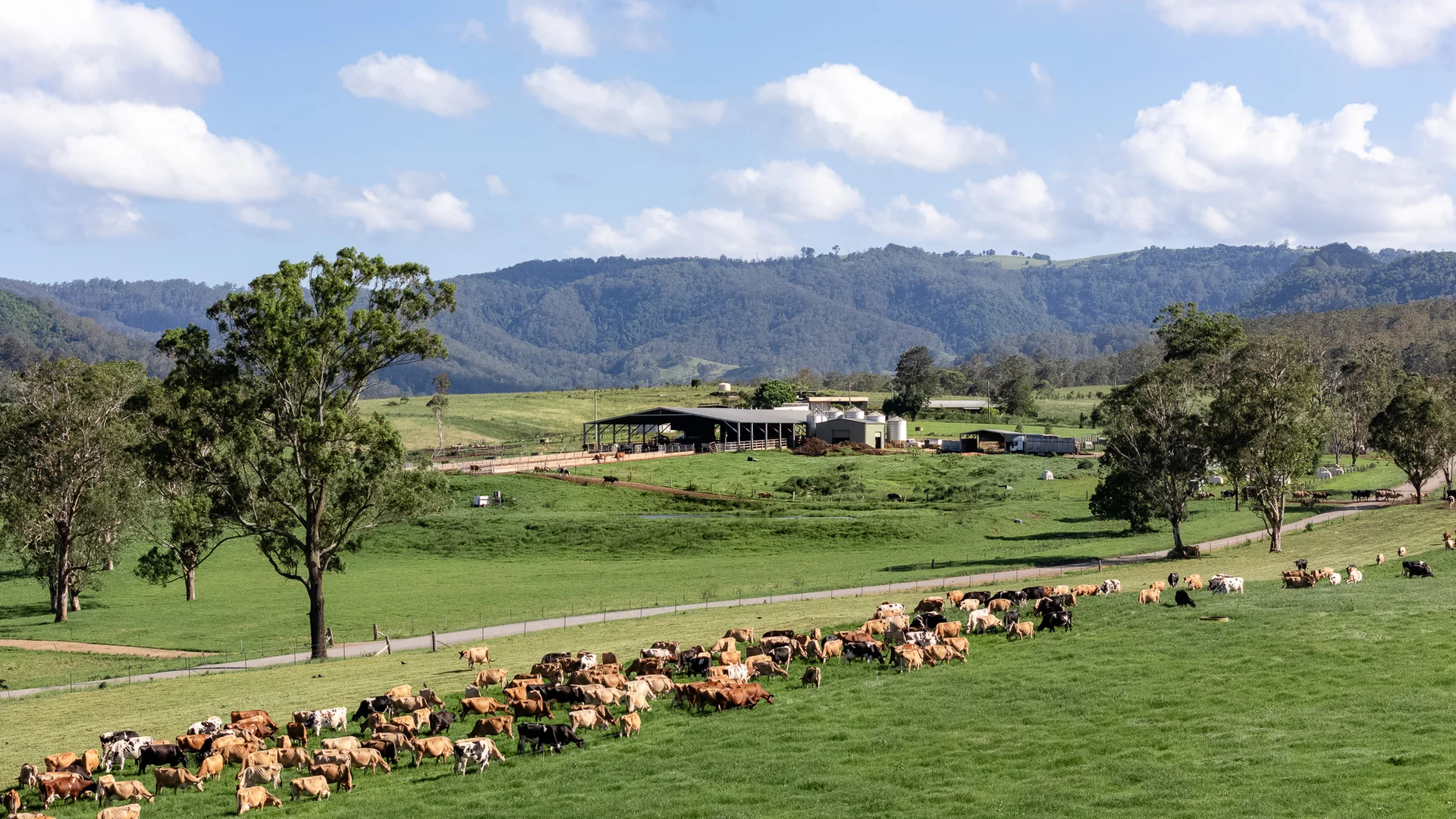 Additional image 23 of 846 Toms Creek Road, Ellenborough NSW 2446