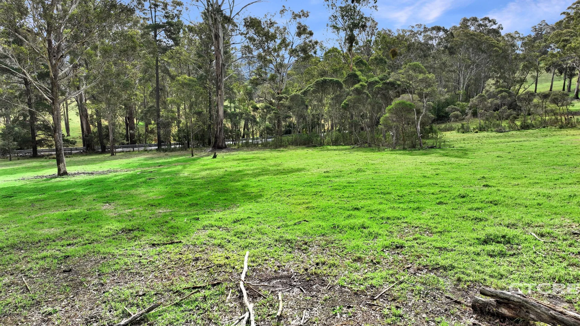 Additional image 8 of 734 Monaro Highway, Noorinbee VIC 3890