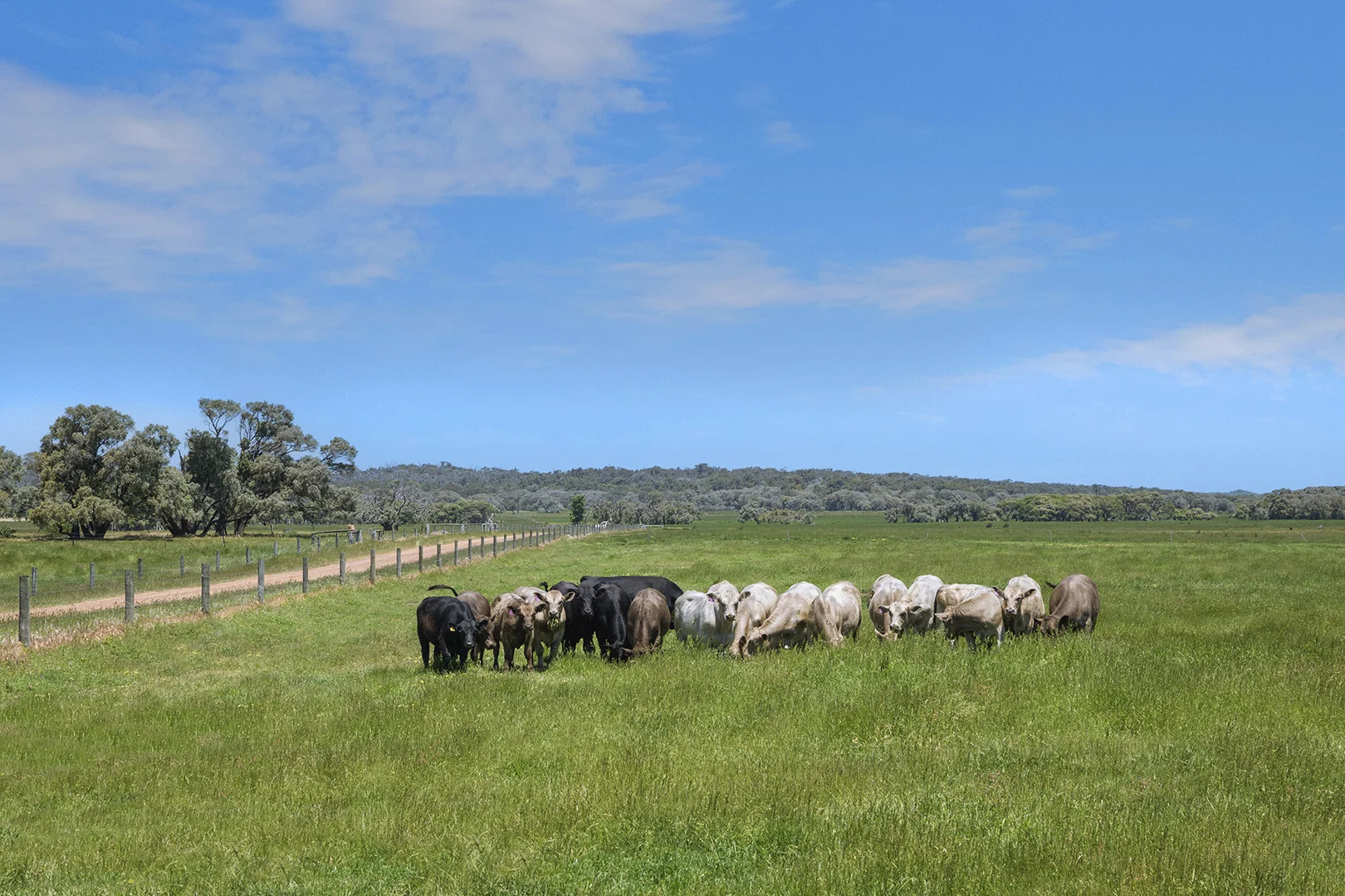 Additional image 12 of 1181 Scott River Road, Scott River WA 6288