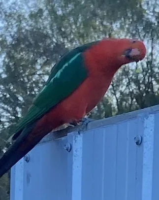 Additional image 13 of 20/6 Lumeah Rd, Somerville VIC 3912