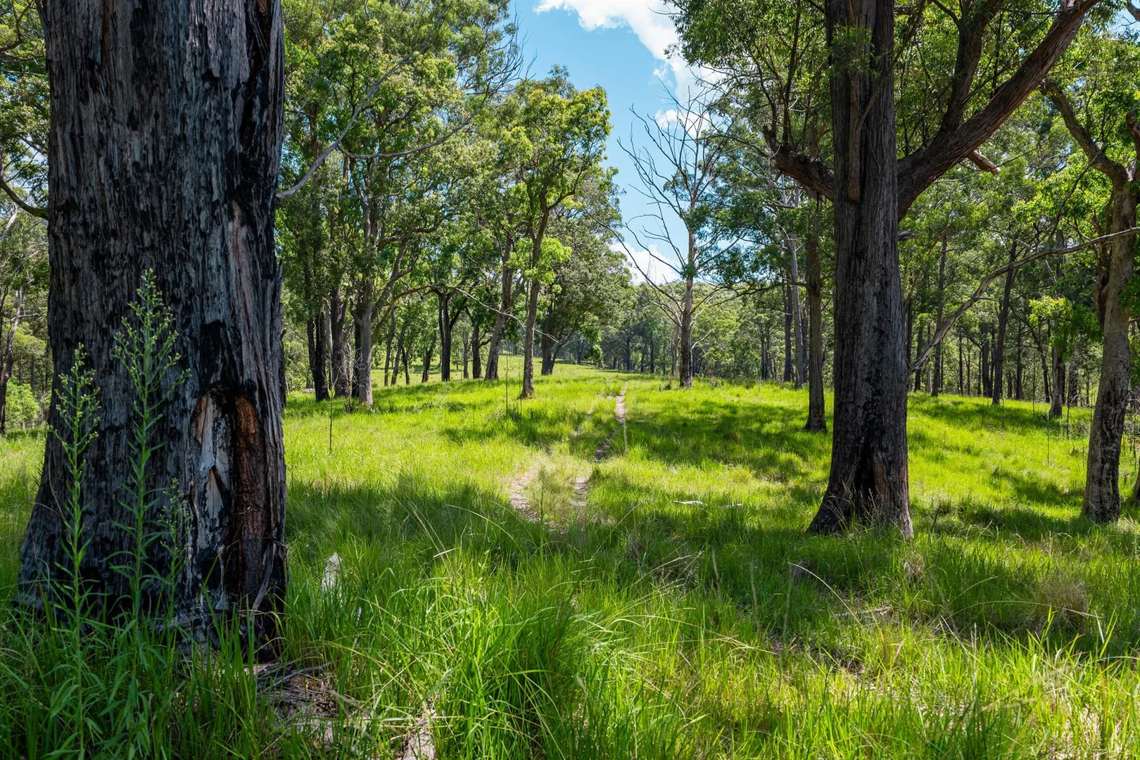 Additional image 23 of 321 Masseys Creek Road, Eccleston NSW 2311