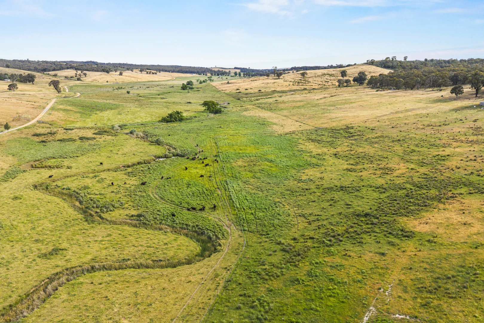 Additional image 22 of Lot 38 Gentle Destiny Road, Boorowa NSW 2586