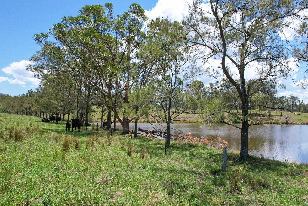 Additional image 41 of 61 Crowthers Road, Gloucester NSW 2422