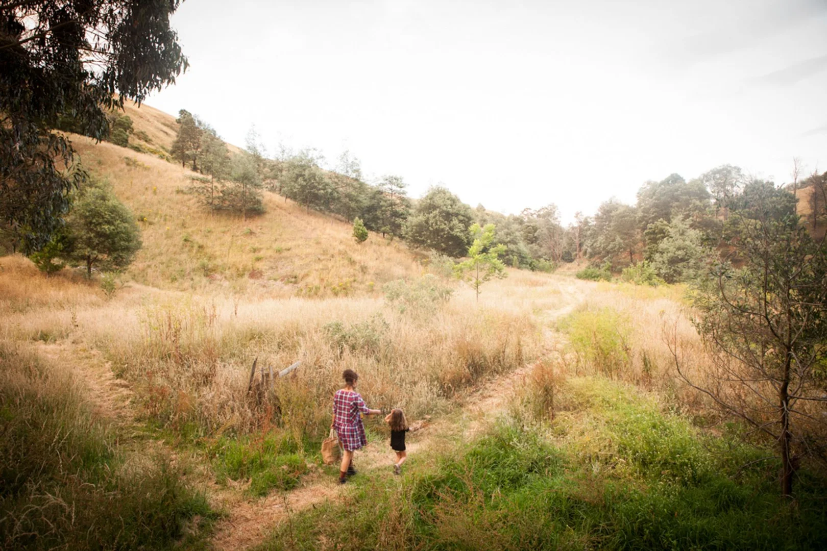 Additional image 30 of 1725 Wild Dog Valley, Strzelecki VIC 3950