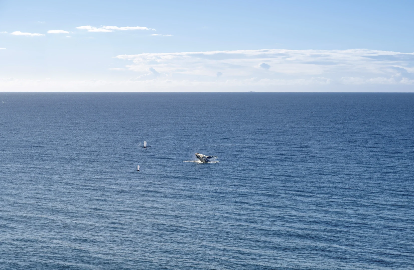 Additional image 22 of 65/59 Pacific Street, Main Beach QLD 4217