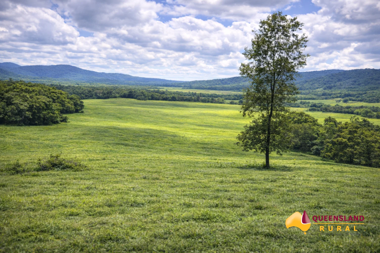 Additional image 6 of Bombeeta QLD 4871