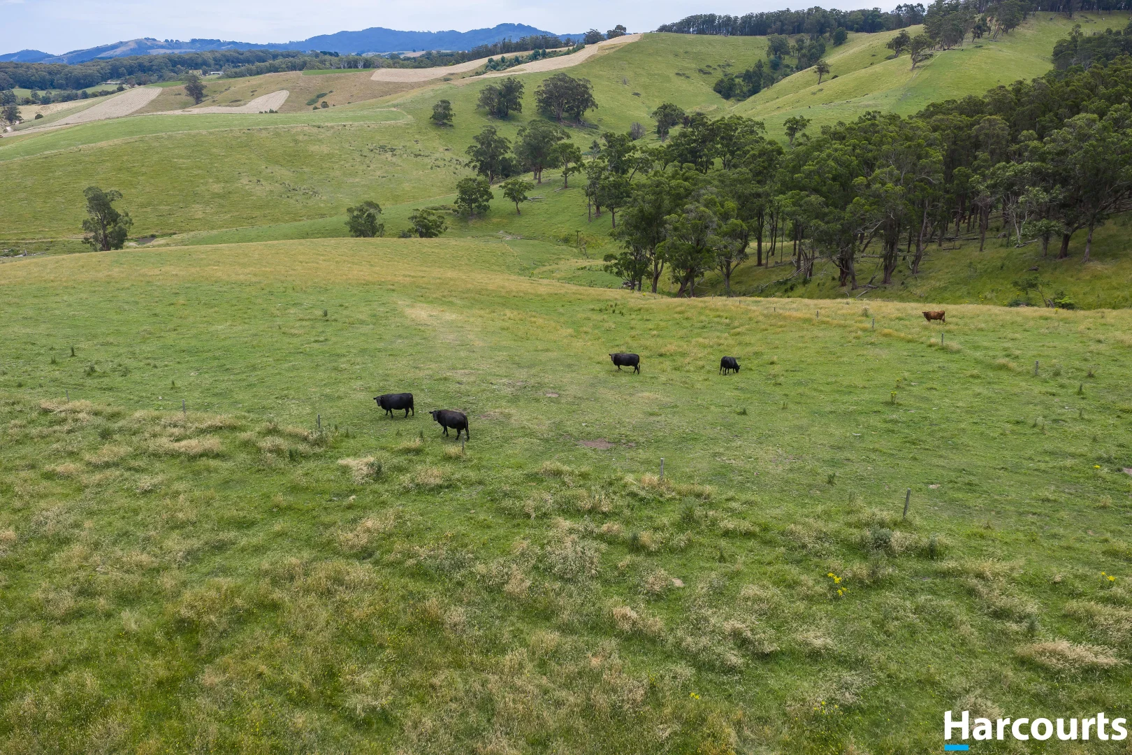 Additional image 25 of 570 Woorarra Road, Welshpool VIC 3966