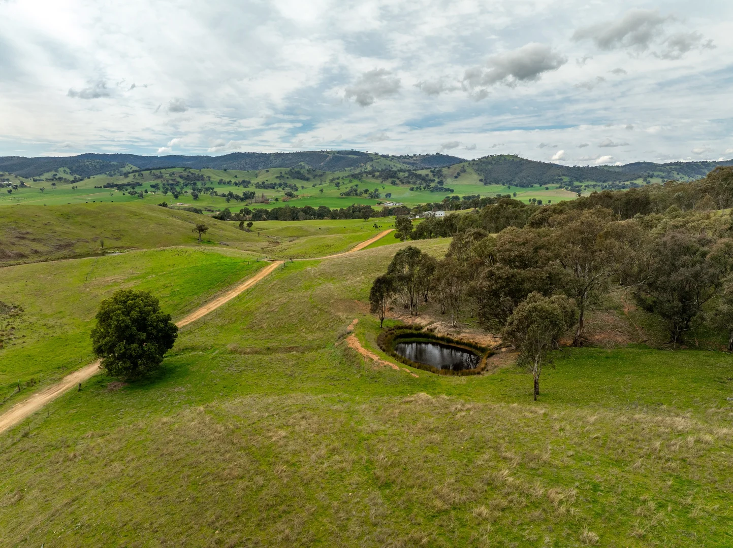 Additional image 40 of 2543 Westbrook Road, Oberne Creek NSW 2650