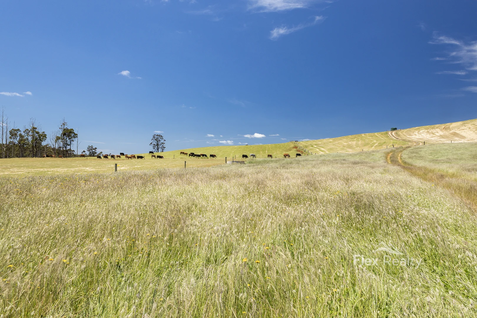 Additional image 14 of 0 Newhaven Road, Mawbanna TAS 7321