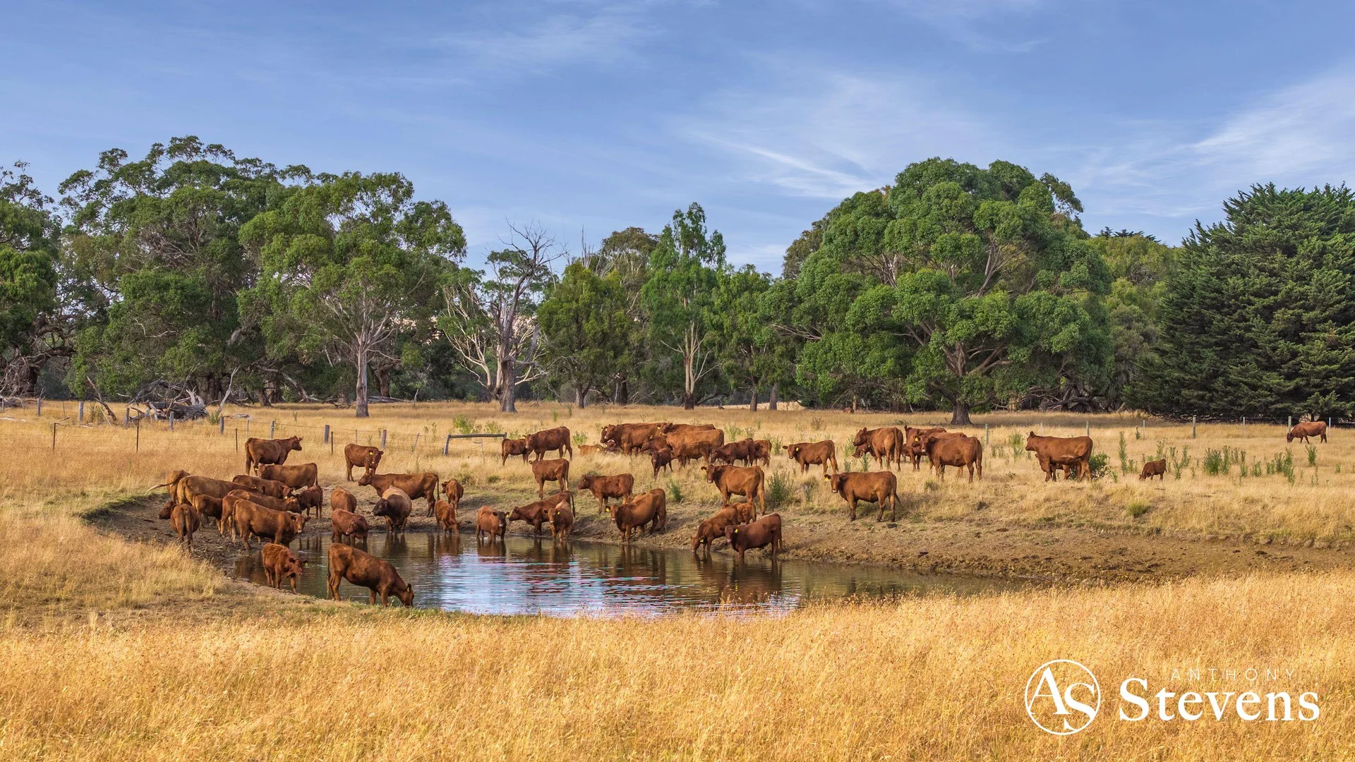 Additional image 5 of C/A-61 Pattinsons Lane, Goldie VIC 3435