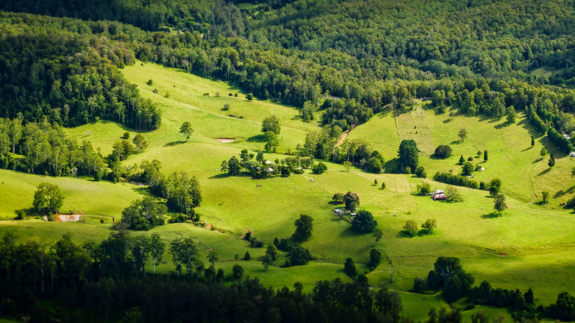 Additional image 5 of 2791 Waterfall Way, Thora NSW 2454