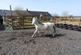 Additional image 32 of Velindre, Carmarthenshire SA44