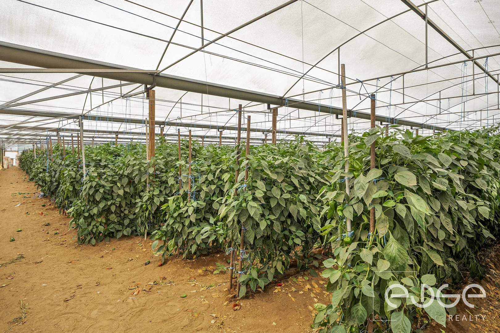 Additional image 7 of Lot 390 Port Gawler Road, Port Gawler SA 5501