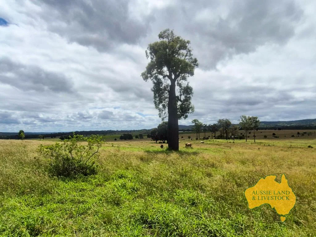 Additional image 8 of 296 Cloyna West Road, Cloyna QLD 4605