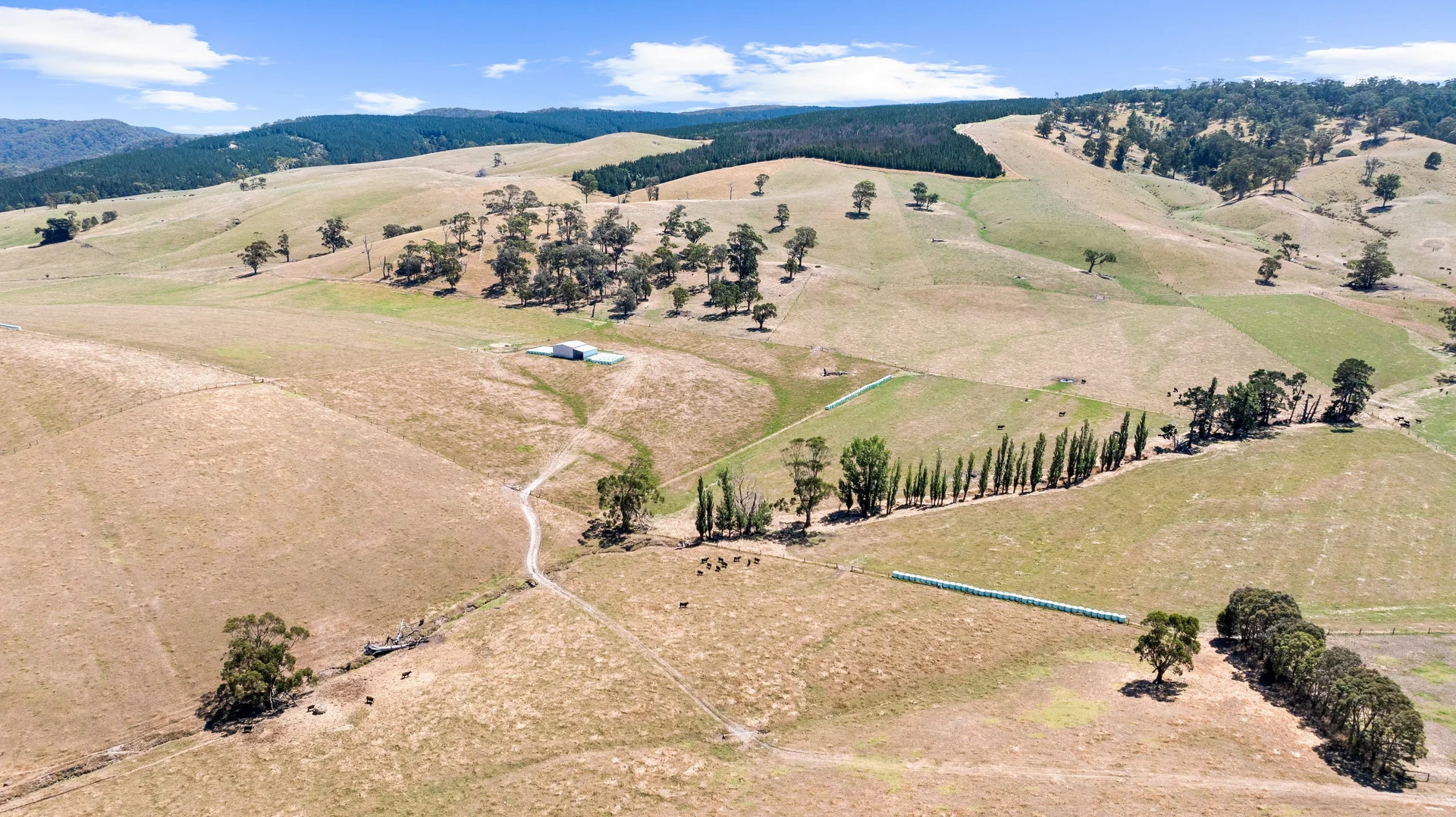 Additional image 5 of 945 Brown Coalmine Road, Tyers VIC 3844