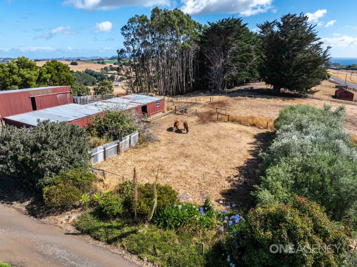 Additional image 9 of 592 Murchison Highway, Elliott TAS 7325
