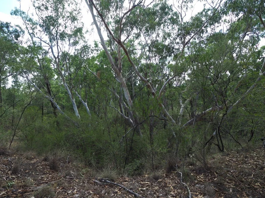 Additional image 9 of 288 Fairford Road, Warialda NSW 2402