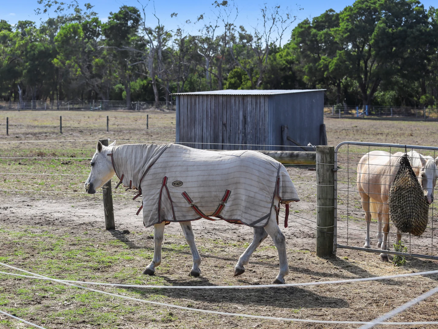 Additional image 20 of 1659 Princes Highway, Heywood VIC 3304