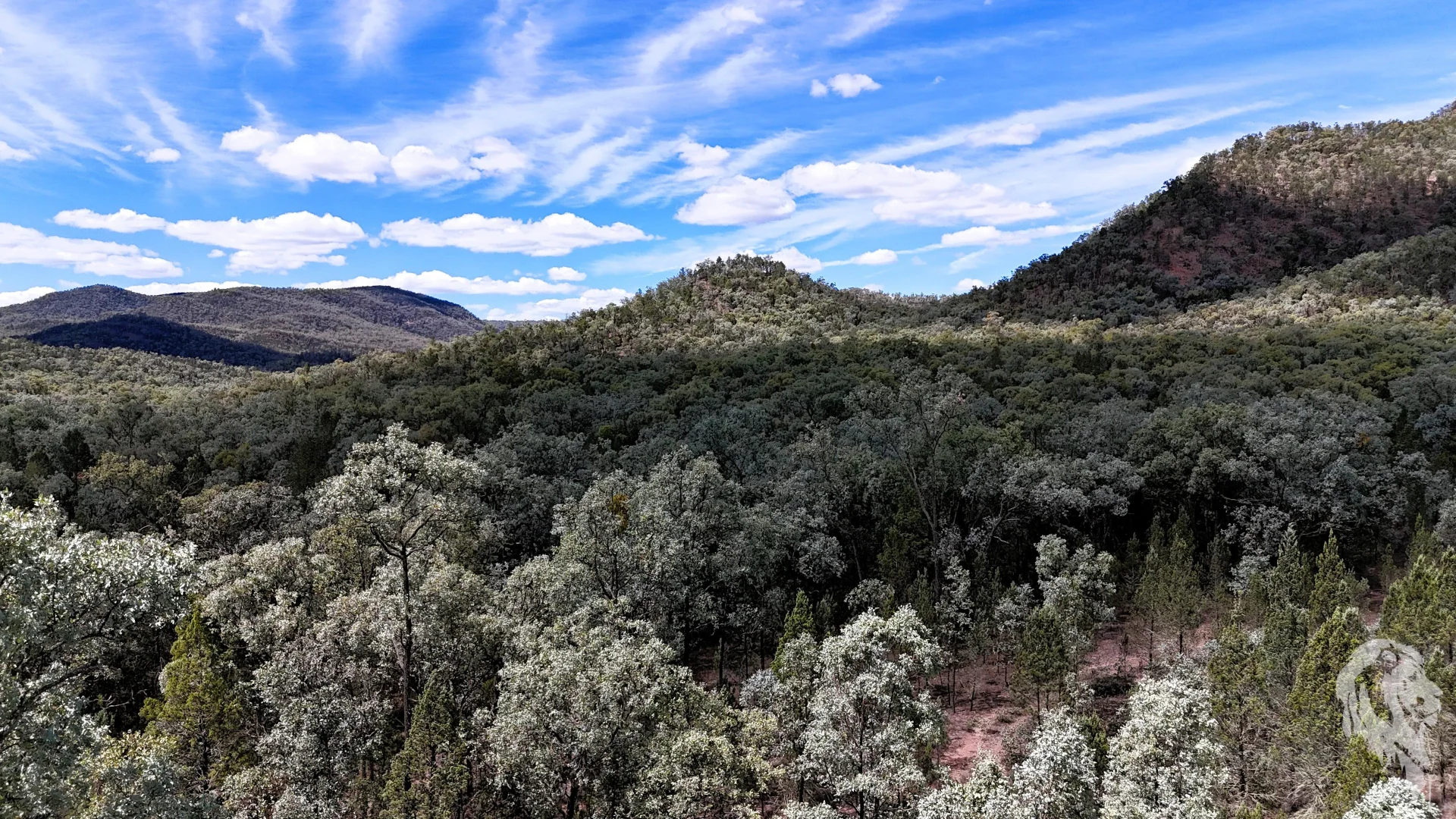 Additional image 3 of 312 Spion Kop Road, Maules Creek NSW 2382