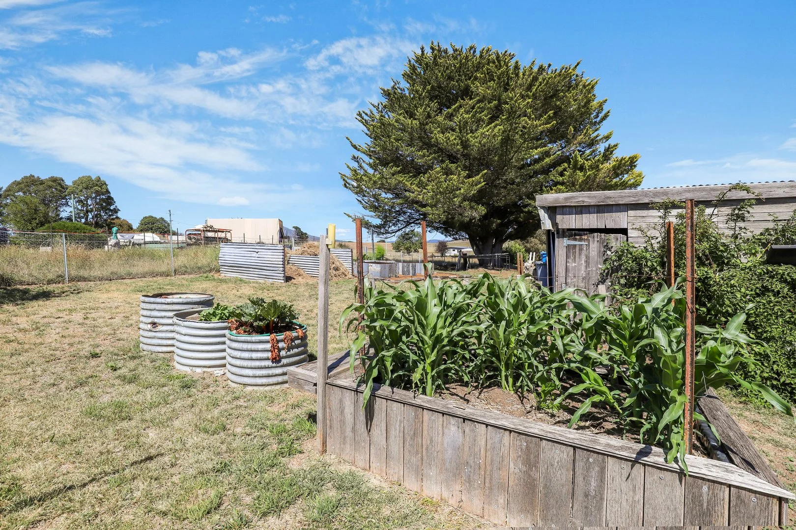 Additional image 28 of 5 Hensleigh Street, Delegate NSW 2633