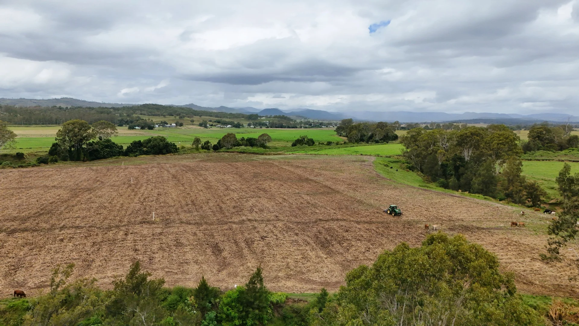 Additional image 11 of 288 Round Mountain Road, Laravale QLD 4285