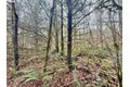 Additional image 36 of 298 Boone Rd, Toledo, WA, 98591