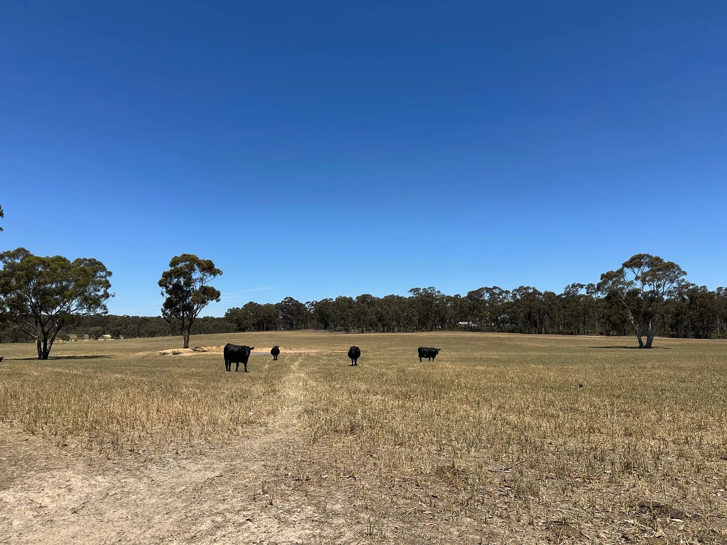 Additional image 3 of CA 60 Section 9, Hemleys Road, Majorca VIC 3465