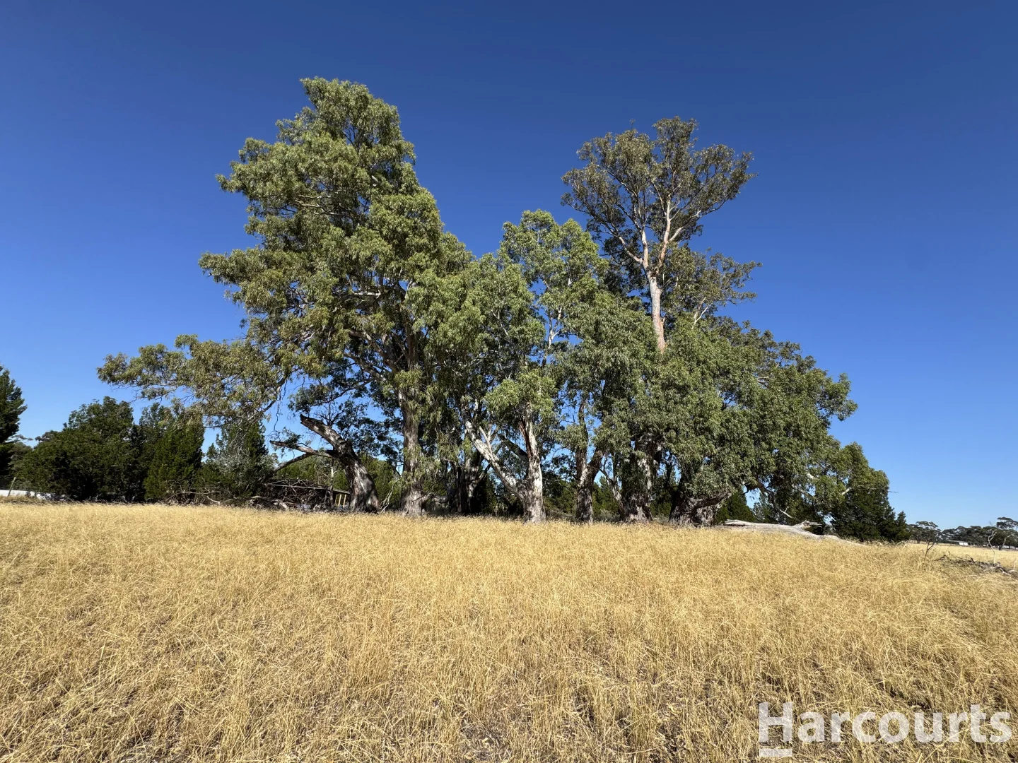 Additional image 19 of 107 Bushby Road, Haven VIC 3401