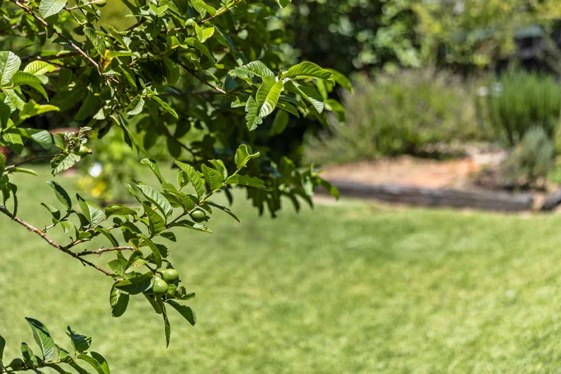 Additional image 14 of 37 Coorabin Crescent, Toormina NSW 2452