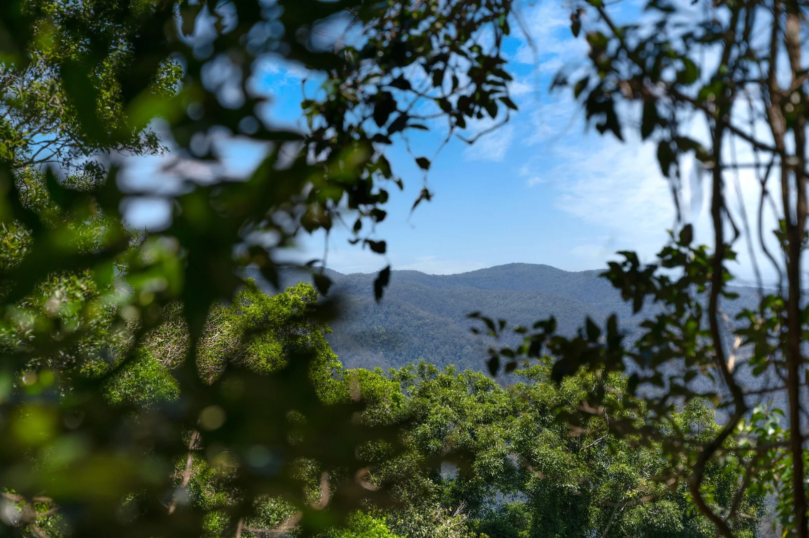 Additional image 9 of Lot 3/1968 Mount Glorious Road, Mount Glorious QLD 4520