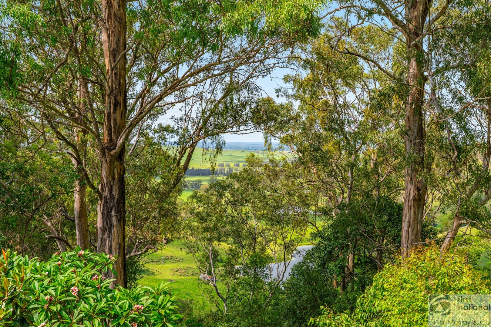 Additional image 14 of 658 Caniaba Road, Caniaba NSW 2480