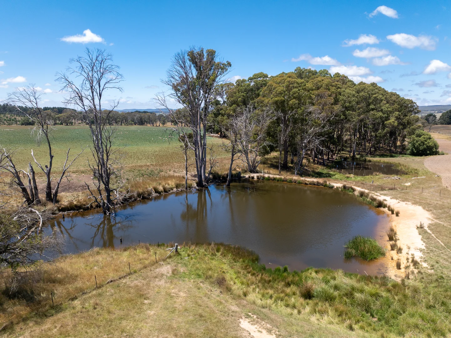 Additional image 24 of 951 Shooters Hill Road, Chatham Valley NSW 2787