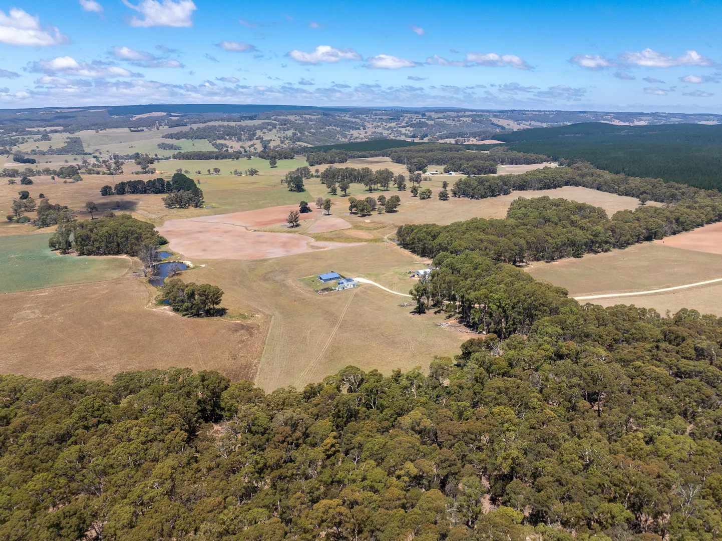 Additional image 31 of 951 Shooters Hill Road, Chatham Valley NSW 2787