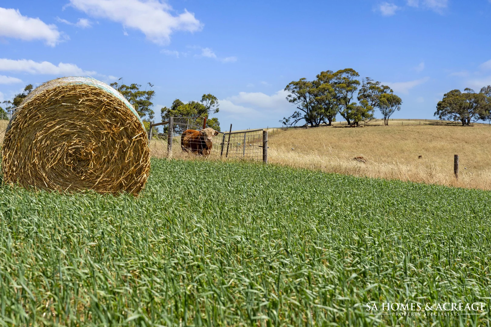 Additional image 31 of 186 Woodlands Road, Cockatoo Valley SA 5351