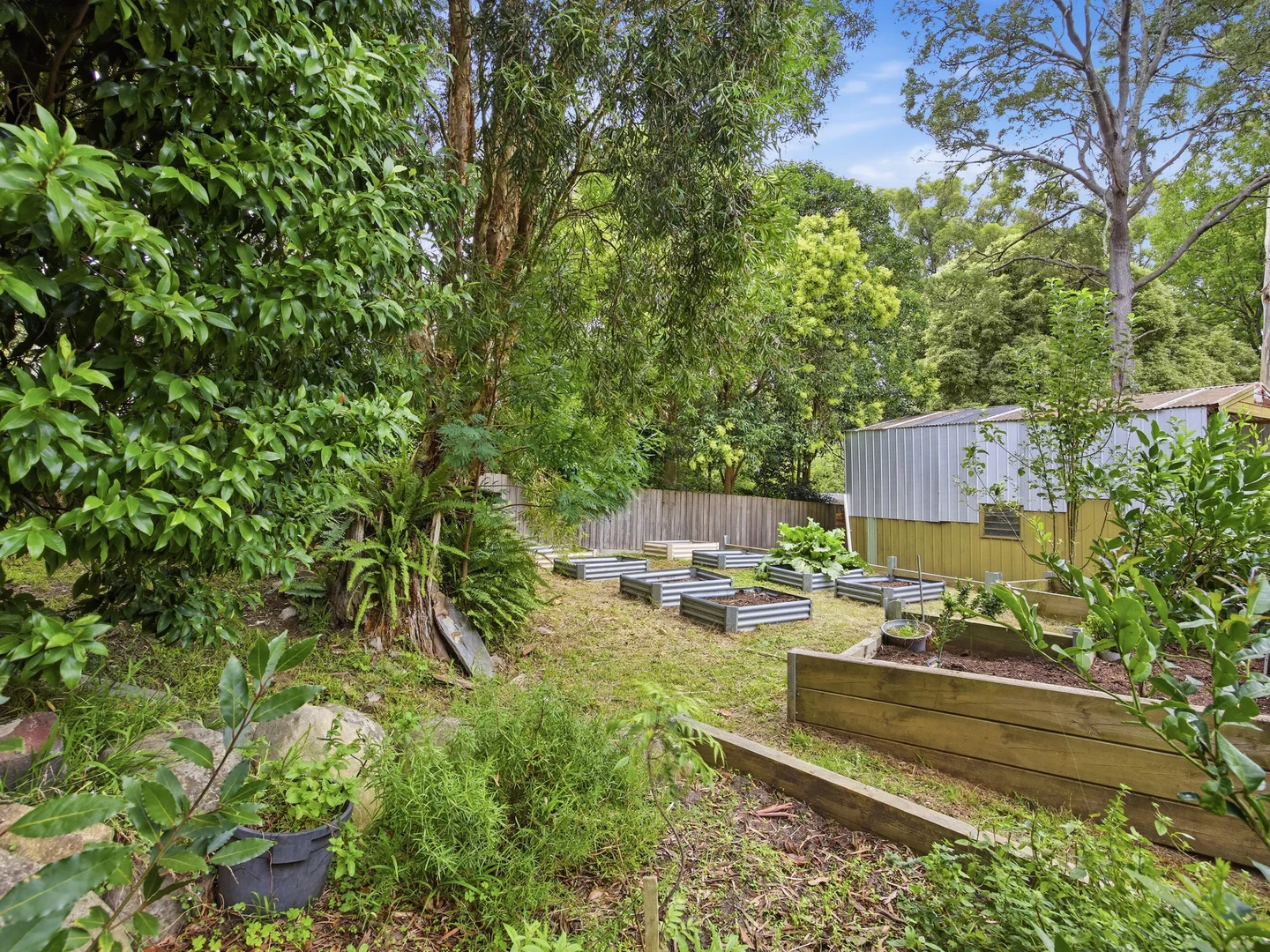 Additional image 15 of 57 Wonga Road, Millgrove VIC 3799