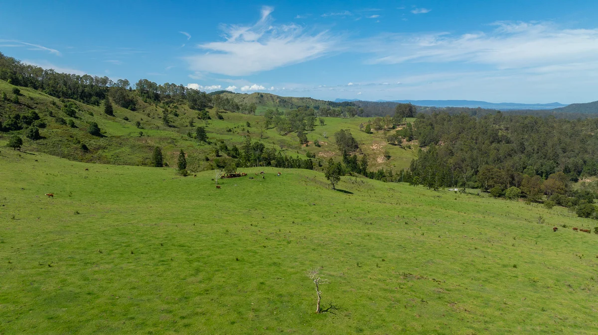 Additional image 30 of Bingeebeebra Creek, Mummulgum NSW 2469