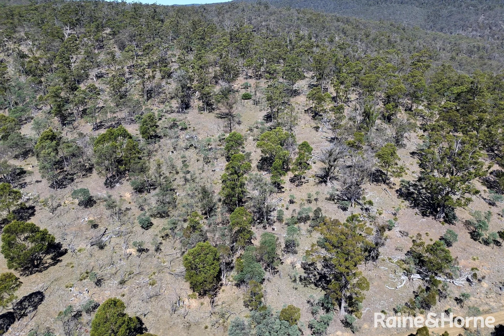 Additional image 12 of 1048 South Rhodes Road, Stonehenge TAS 7120