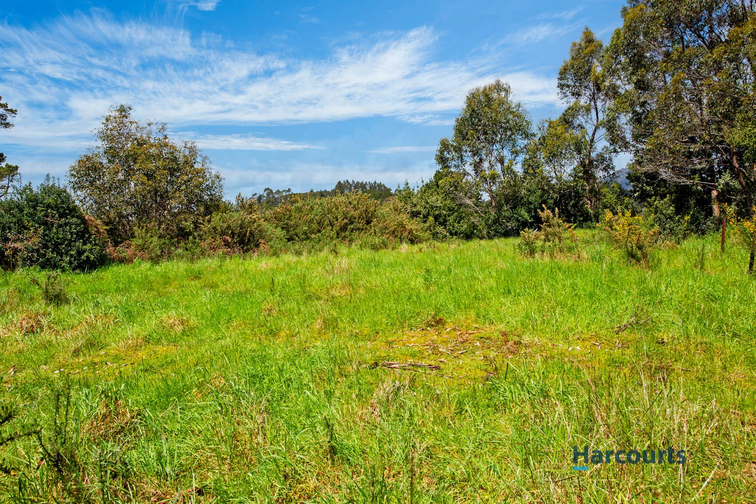 Additional image 5 of 15 Adams Street, Zeehan TAS 7469